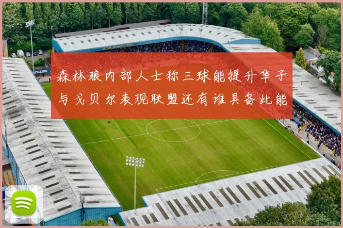 森林狼内部人士称三球能提升华子与戈贝尔表现联盟还有谁具备此能力