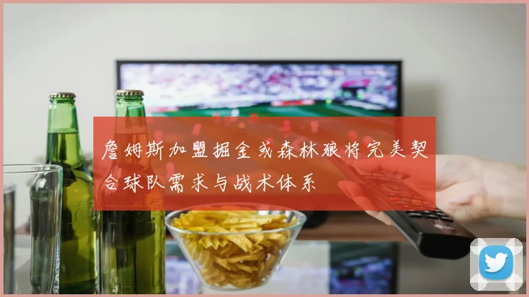 詹姆斯加盟掘金或森林狼将完美契合球队需求与战术体系