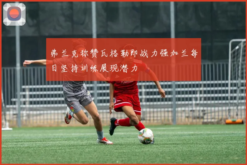 弗兰克称赞瓦格勒即战力强加兰每日坚持训练展现潜力